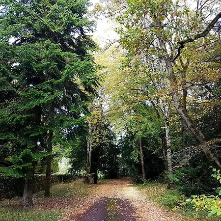 Domaine De Puygiraud Sur L'anglin Saint-Pierre-de-Maillé