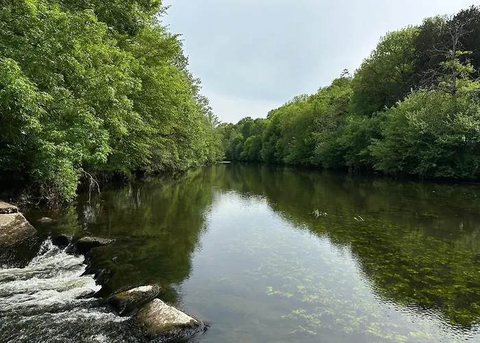 Domaine De Puygiraud Sur L'anglin *