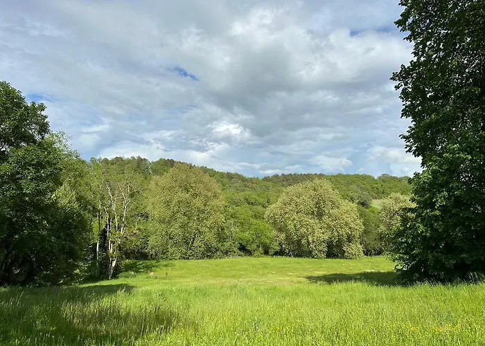 Domaine De Puygiraud Sur L'anglin Σπίτι διακοπών Saint-Pierre-de-Maillé