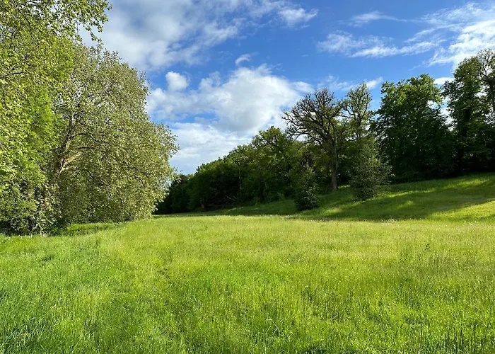 Σπίτι διακοπών Domaine De Puygiraud Sur L'anglin Saint-Pierre-de-Maillé