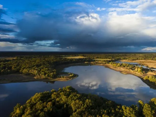 Domaine De Puygiraud Sur L'anglin Σπίτι διακοπών