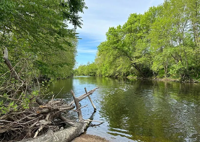 Domaine De Puygiraud Sur L'anglin