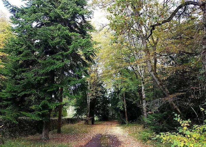 Domaine De Puygiraud Sur L'anglin Saint-Pierre-de-Maillé